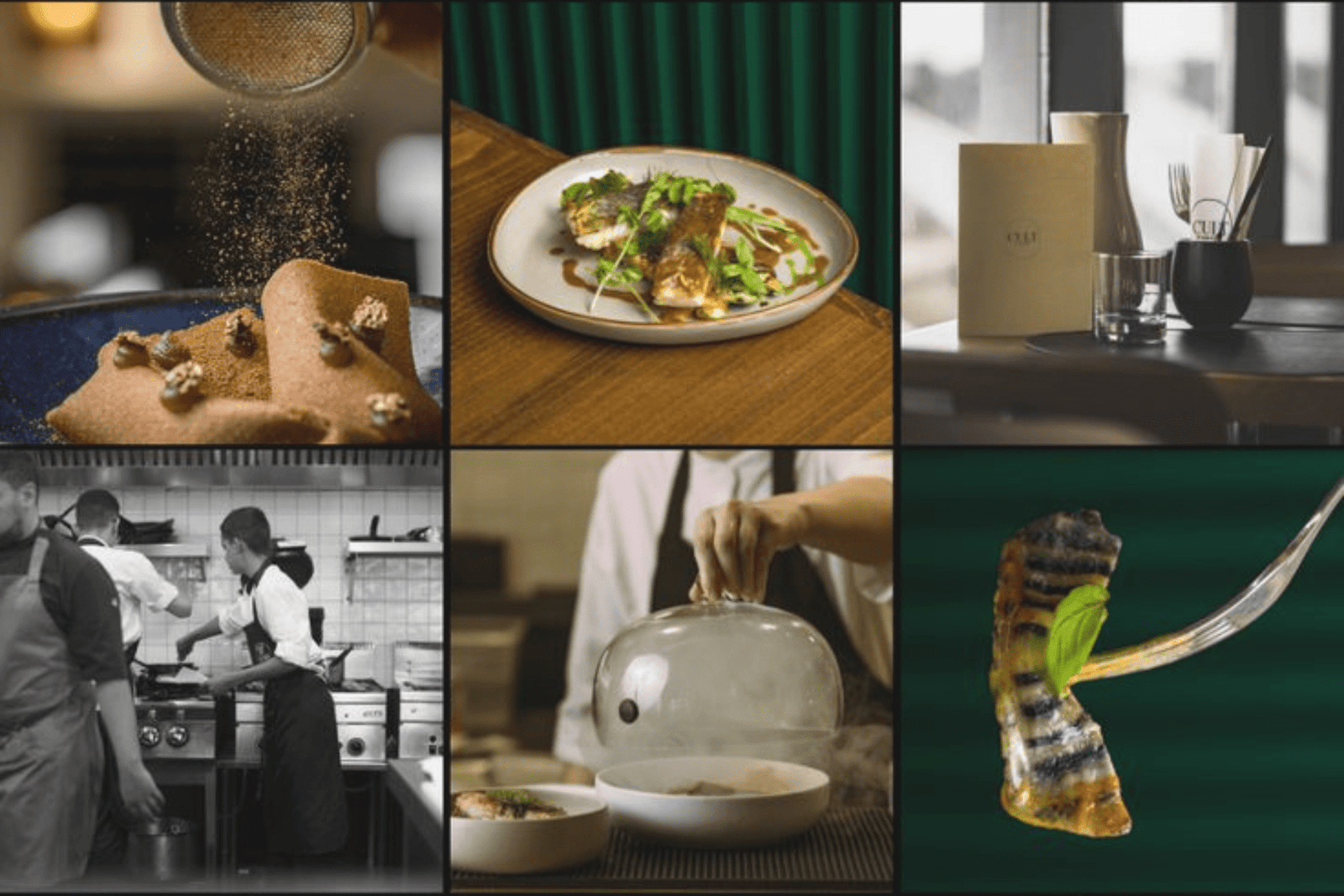 restaurant in raipur